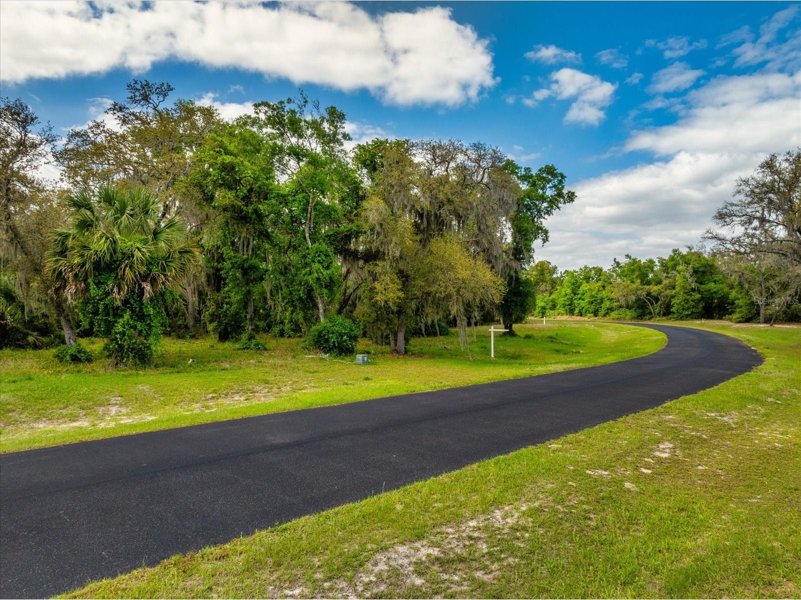 3117 Bright Lake Circle #LOT 63 Groveland FL 34736 G5095650 image28