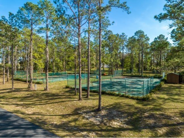 3117 Bright Lake Circle #LOT 63 Groveland FL 34736 G5095650 image5