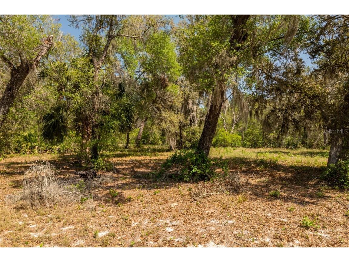 3117 Bright Lake Circle #LOT 63 Groveland FL 34736 G5095650 image6