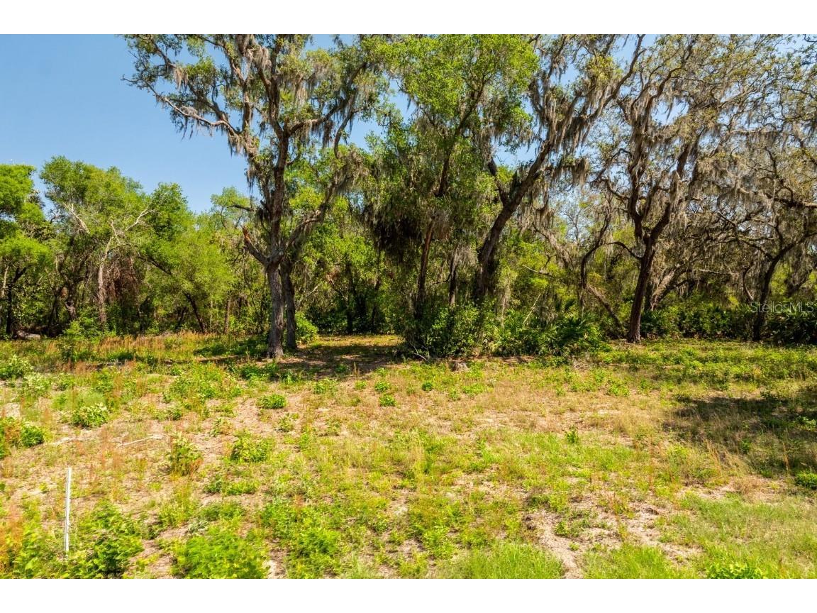3117 Bright Lake Circle #LOT 63 Groveland FL 34736 G5095650 image7