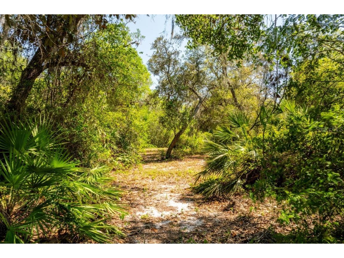 3117 Bright Lake Circle #LOT 63 Groveland FL 34736 G5095650 image8