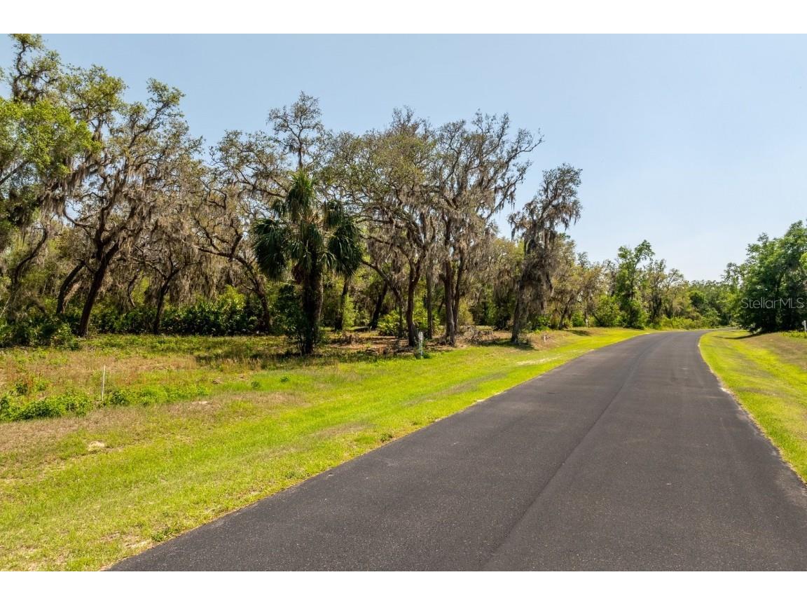 3117 Bright Lake Circle #LOT 63 Groveland FL 34736 G5095650 image9