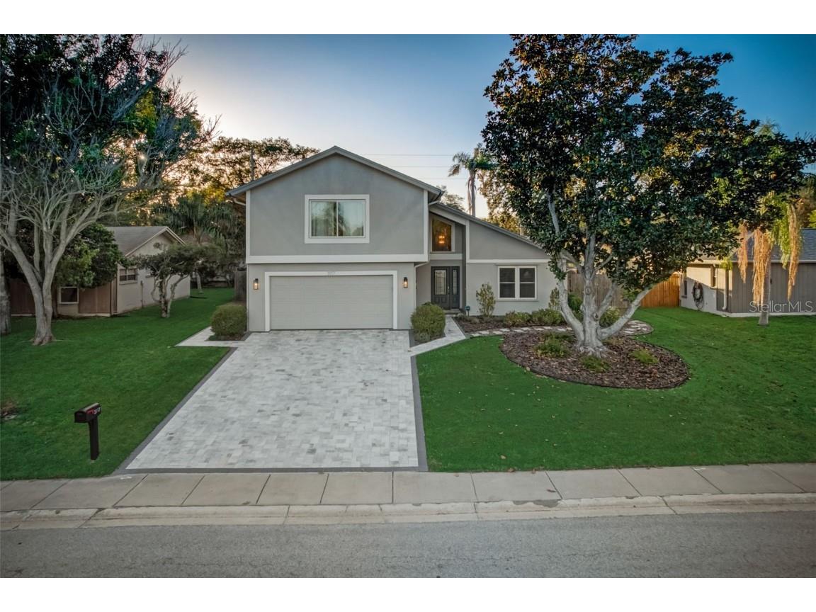 3117 Egret Terrace Safety Harbor FL 34695 U8238472 image1