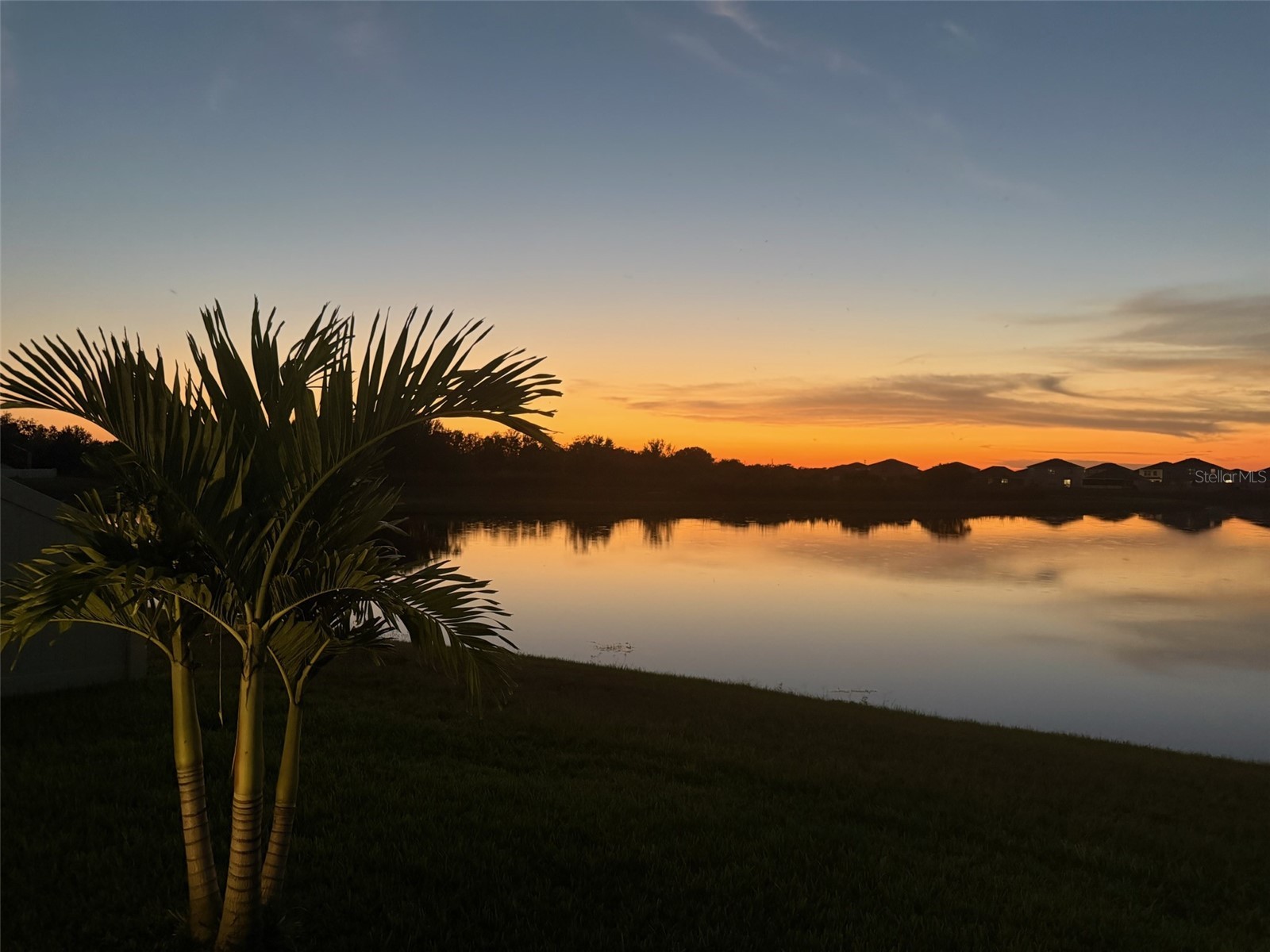 3117 King Fern Drive Wimauma FL 33598 TB8521849 image13
