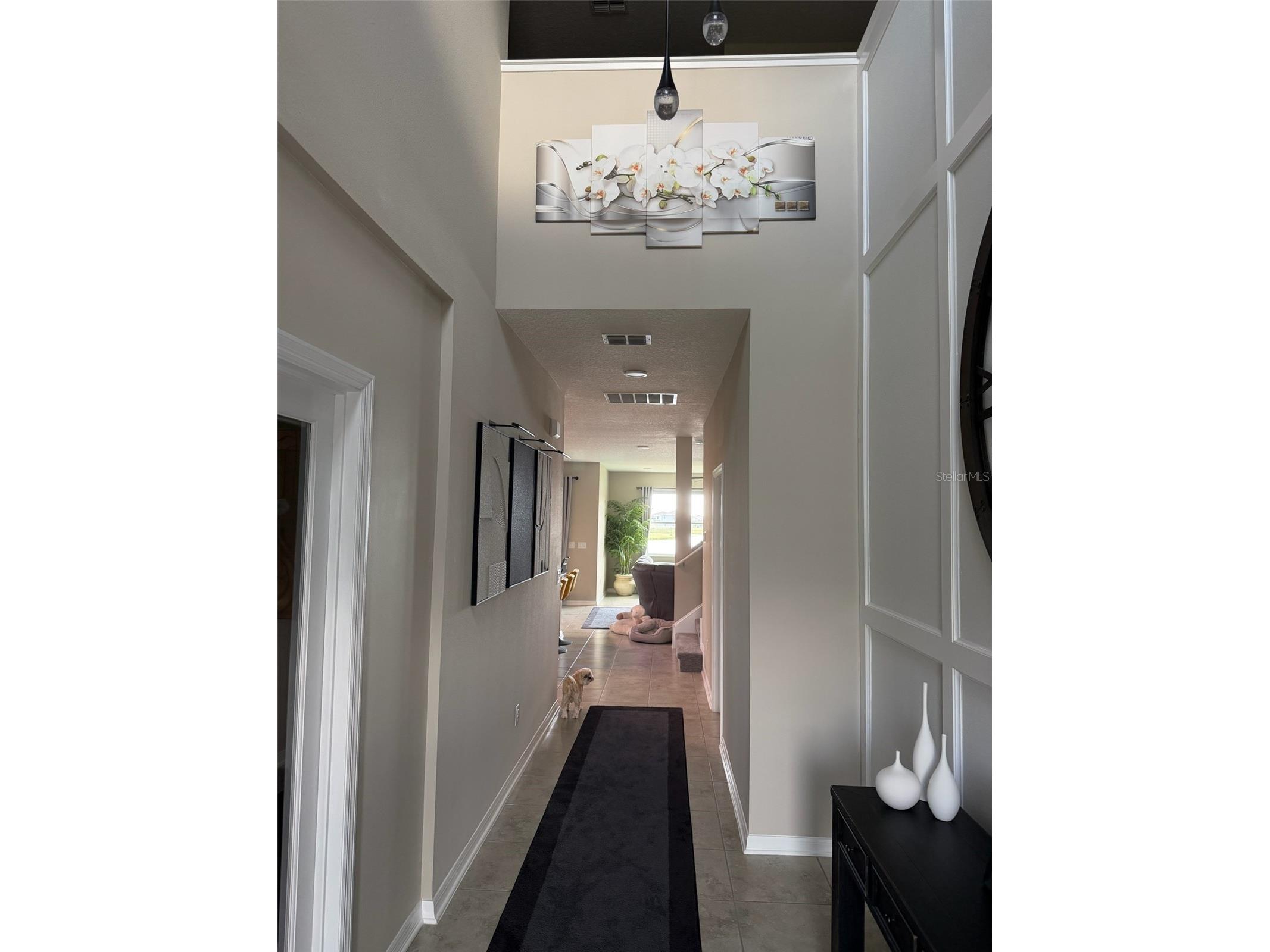 3117 King Fern Drive Wimauma FL 33598 TB8521849 image14