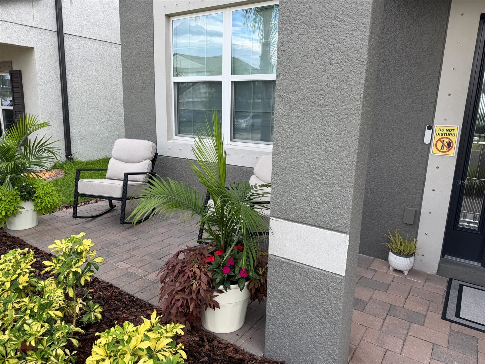 3117 King Fern Drive Wimauma FL 33598 TB8521849 image17
