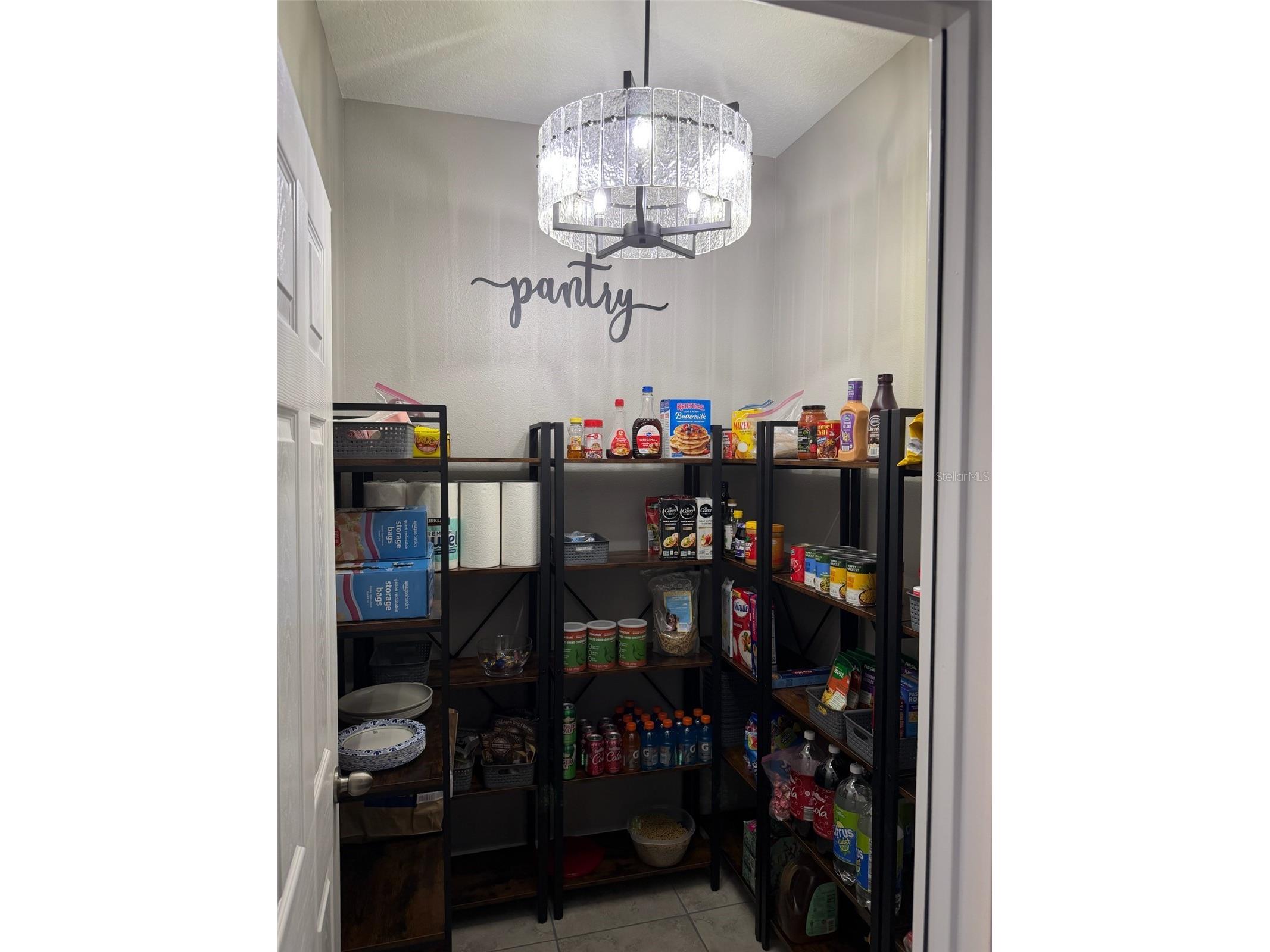 3117 King Fern Drive Wimauma FL 33598 TB8521849 image18