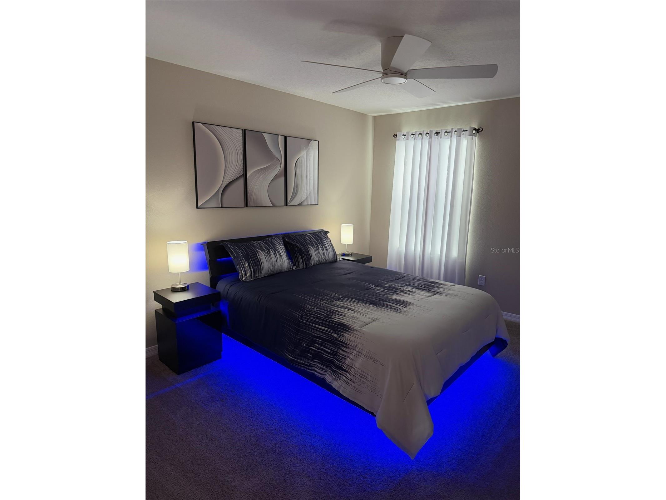 3117 King Fern Drive Wimauma FL 33598 TB8521849 image40