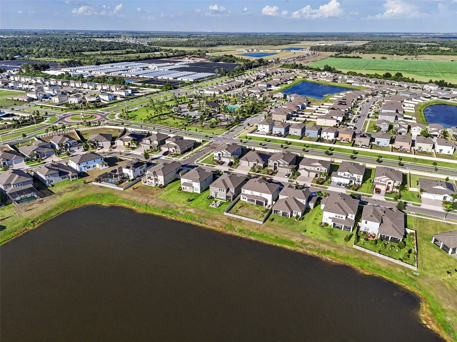 3117 King Fern Drive Wimauma FL 33598 TB8521849 image6