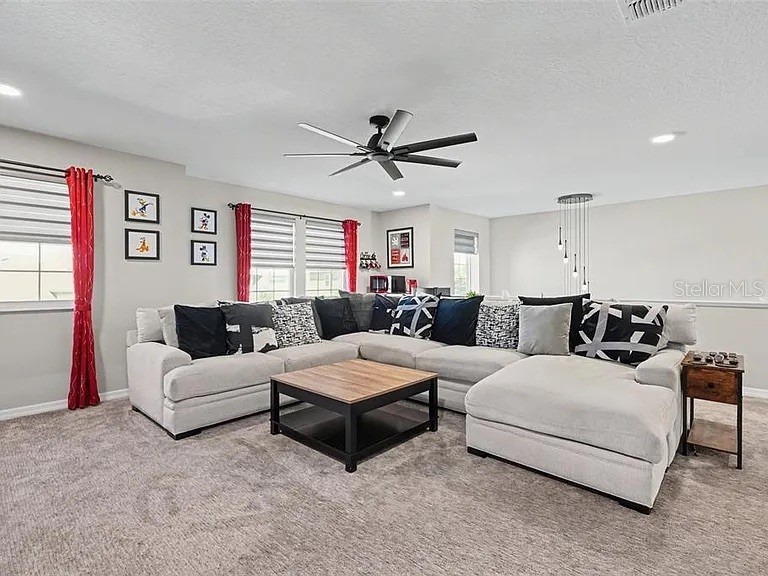 3117 King Fern Drive Wimauma FL 33598 TB8521849 image73