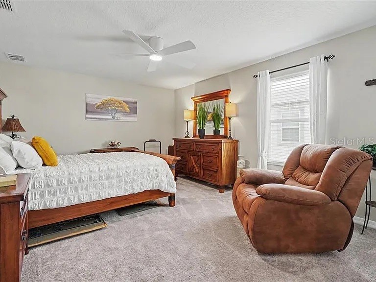 3117 King Fern Drive Wimauma FL 33598 TB8521849 image74