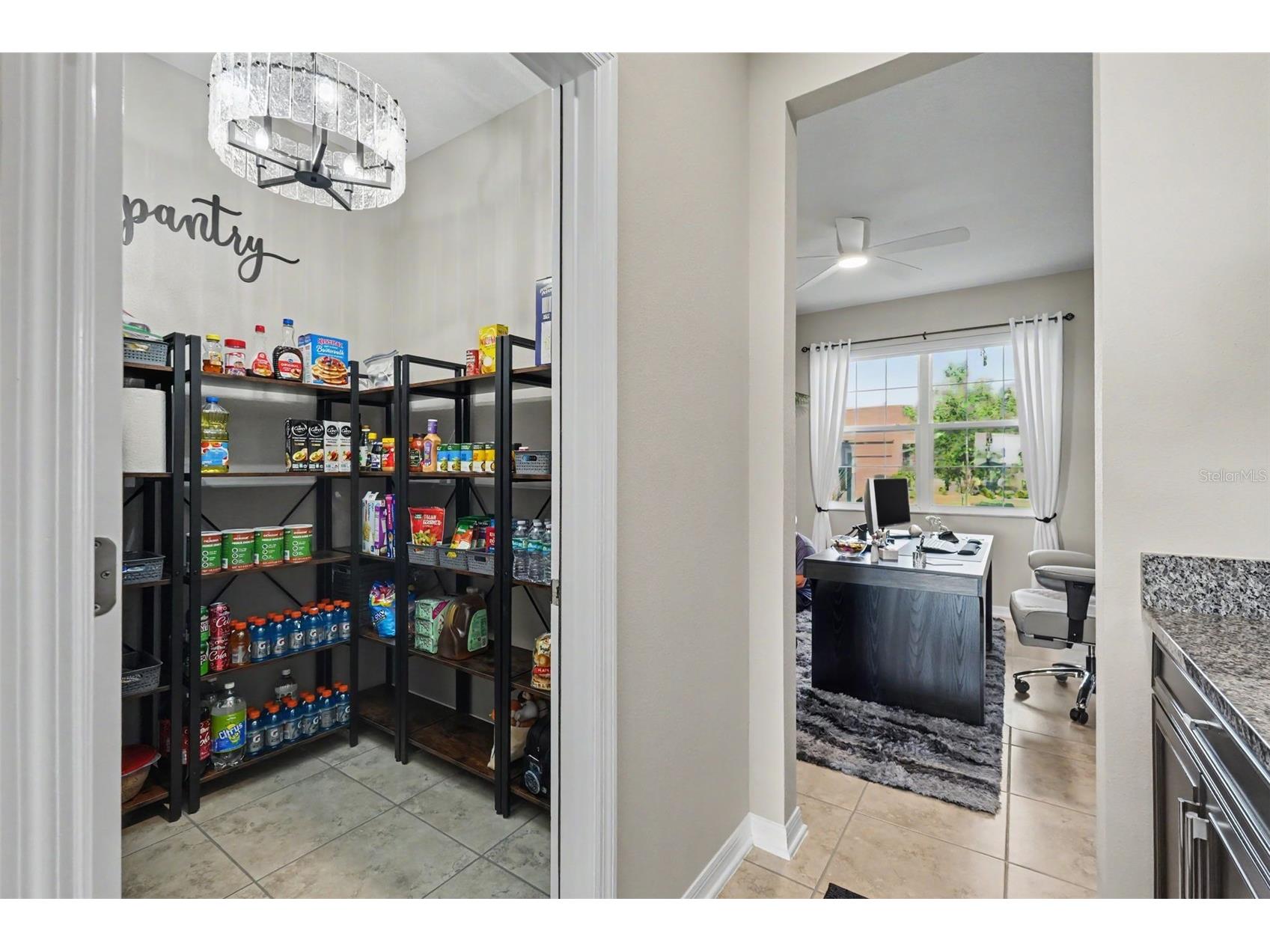 3117 King Fern Drive Wimauma FL 33598 TB8521849 image8
