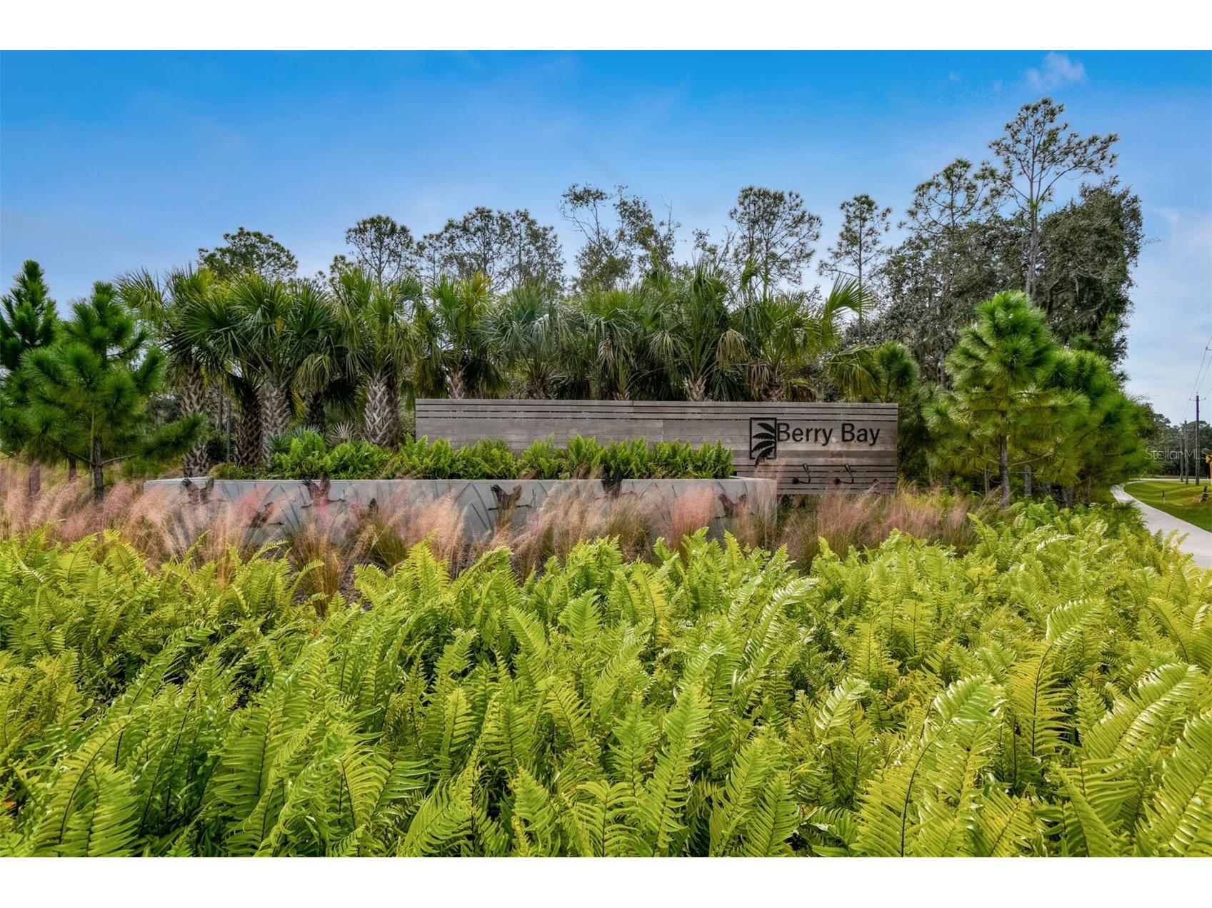 3117 King Fern Drive Wimauma FL 33598 TB8521849 image95