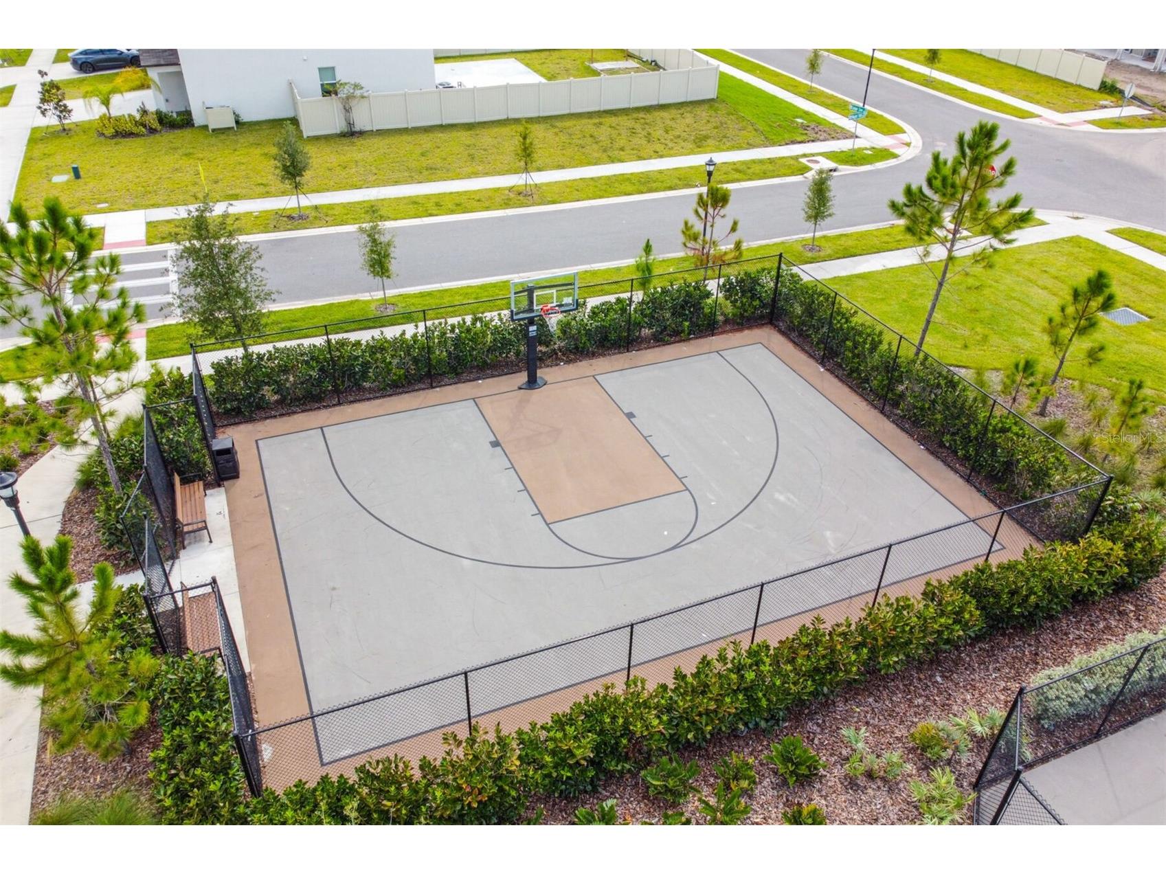 3117 King Fern Drive Wimauma FL 33598 TB8521849 image98