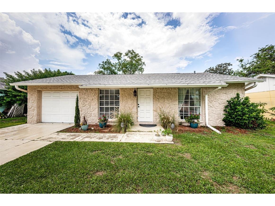 3117 Loomis Drive New Port Richey FL 34655 W7866279 image1