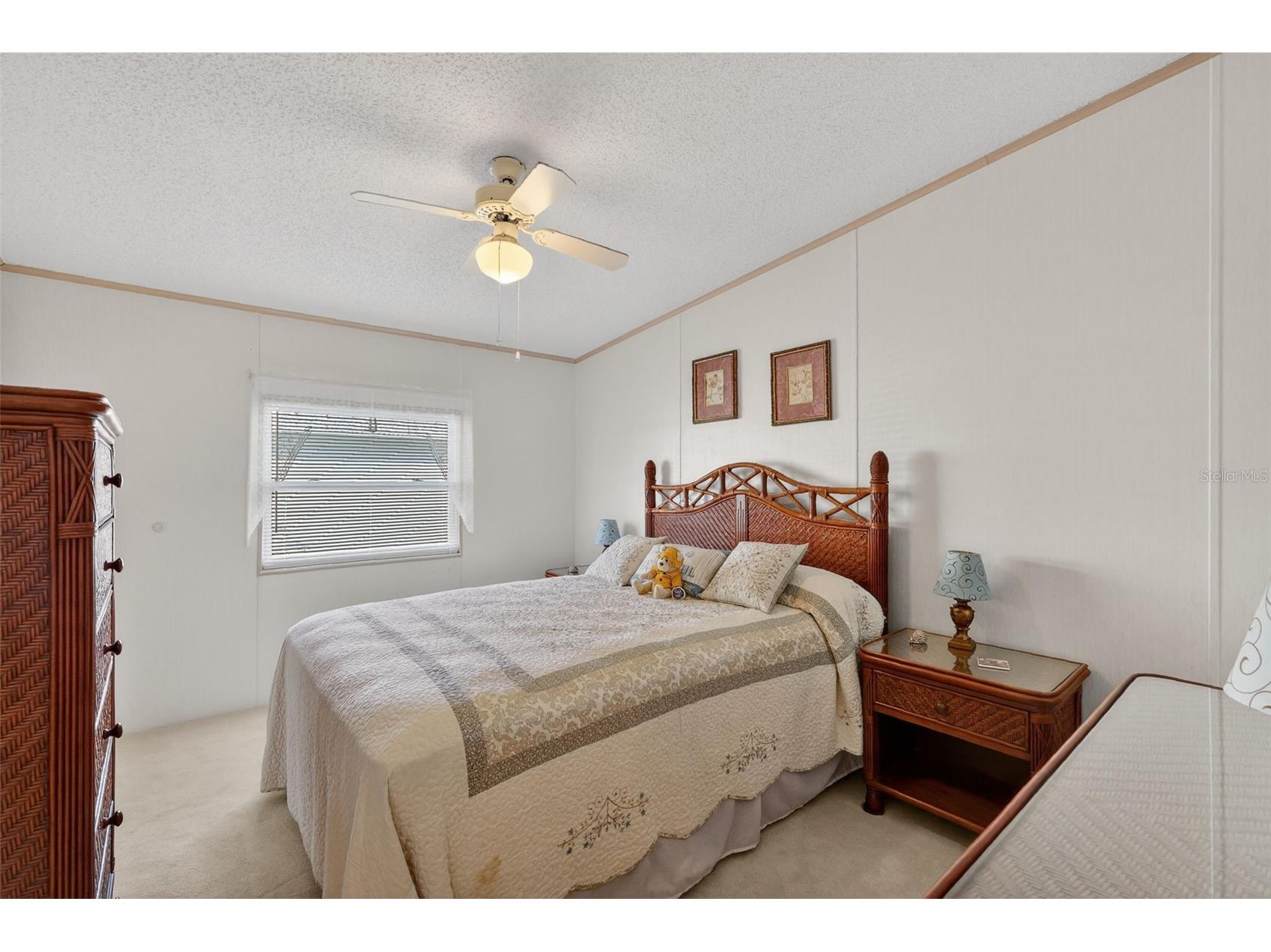 3117 Manatee Road Tavares FL 32778 G5105680 image16