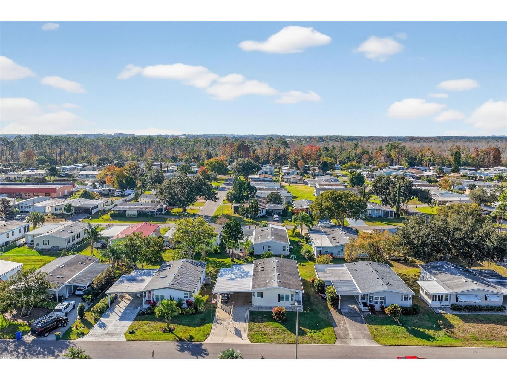 3117 Manatee Road Tavares FL 32778 G5105680 image43