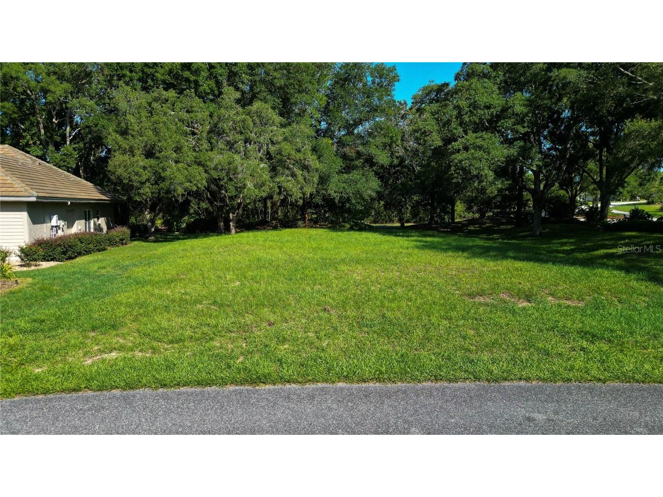 3117 N Barton Creek Circle Lecanto FL 34461 OM705546 image1