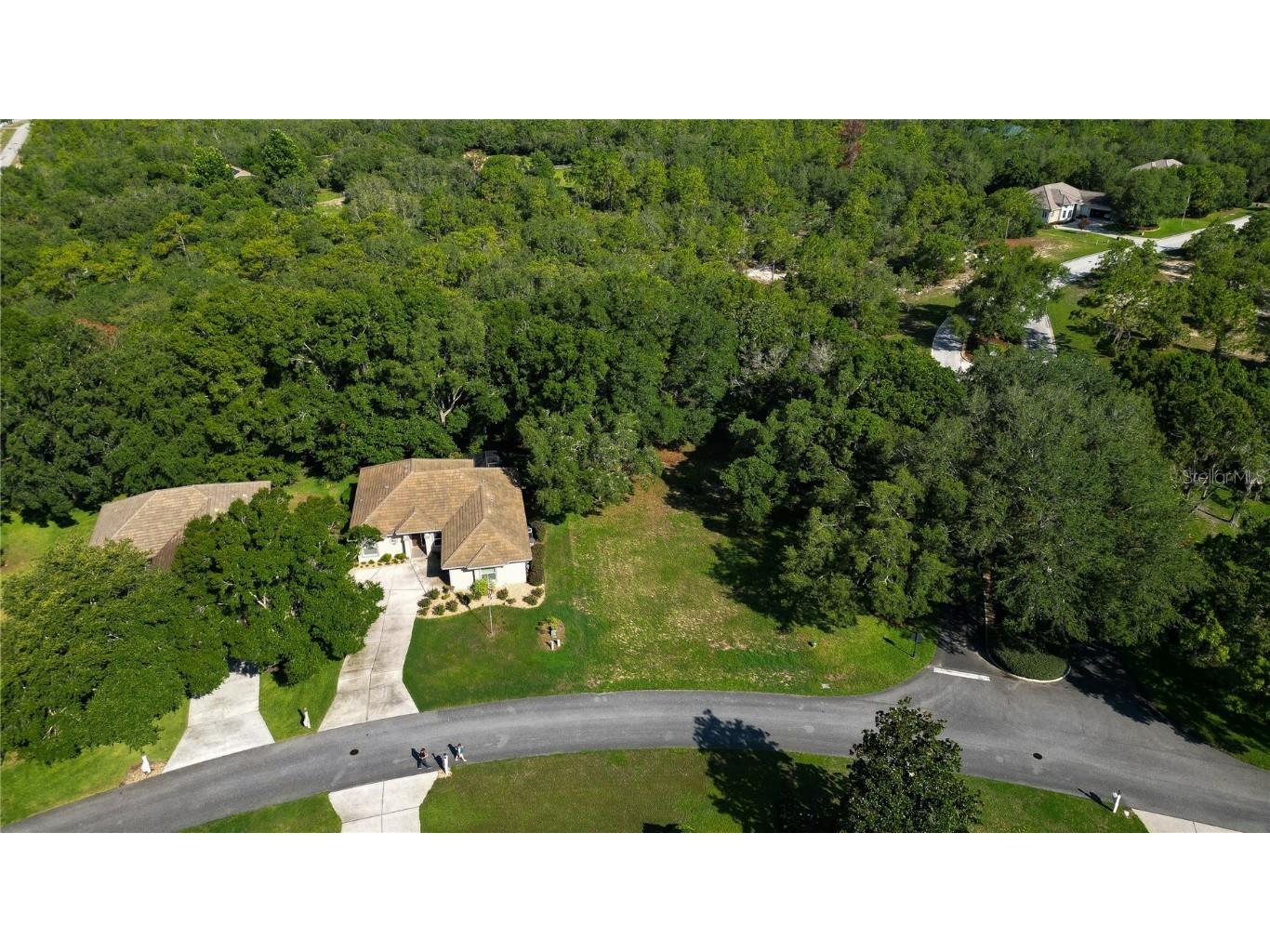 3117 N Barton Creek Circle Lecanto FL 34461 OM705546 image10