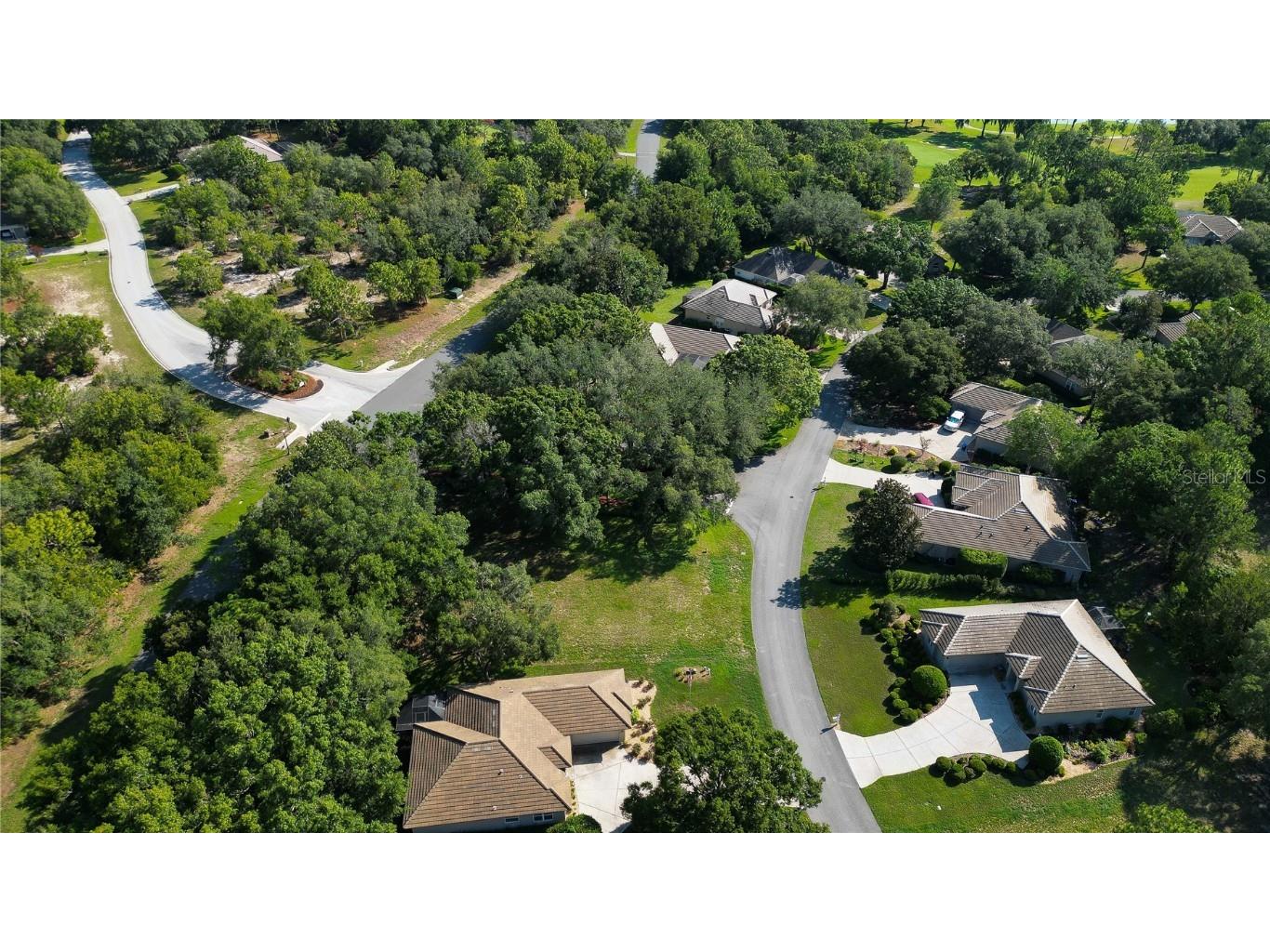 3117 N Barton Creek Circle Lecanto FL 34461 OM705546 image11