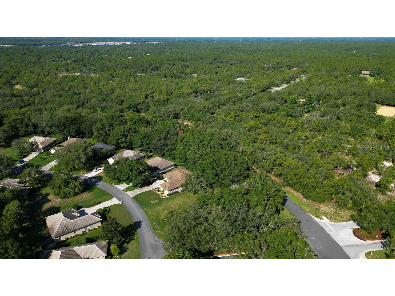 3117 N Barton Creek Circle Lecanto FL 34461 OM705546 image14