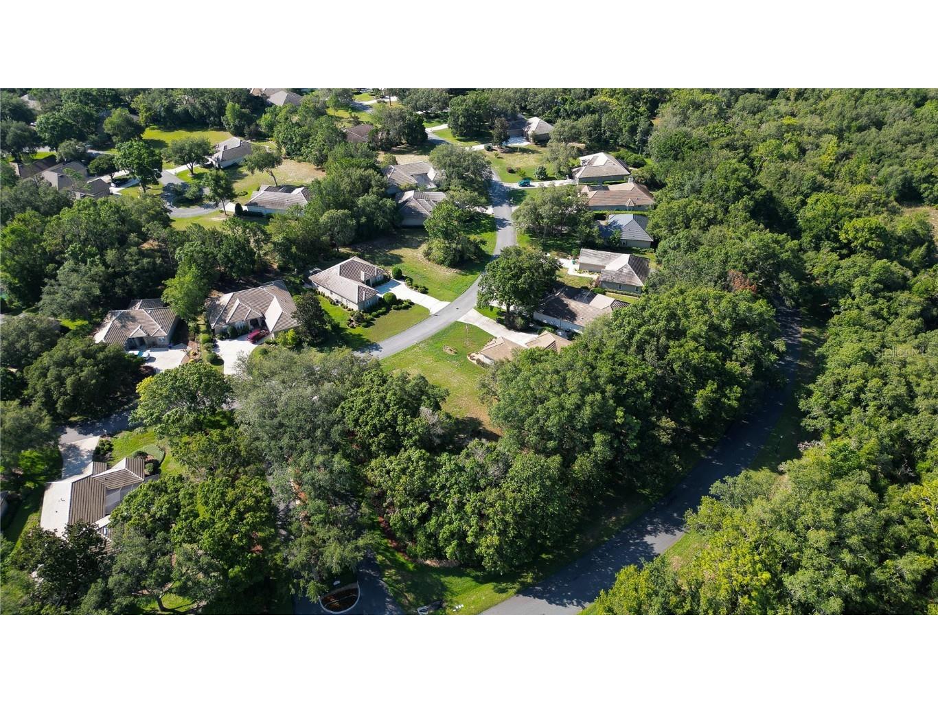 3117 N Barton Creek Circle Lecanto FL 34461 OM705546 image15