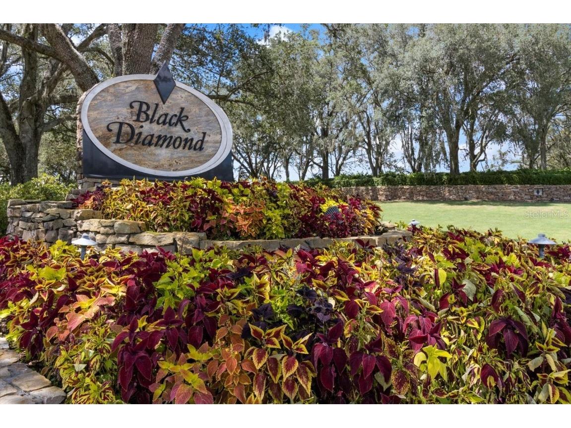 3117 N Barton Creek Circle Lecanto FL 34461 OM705546 image16