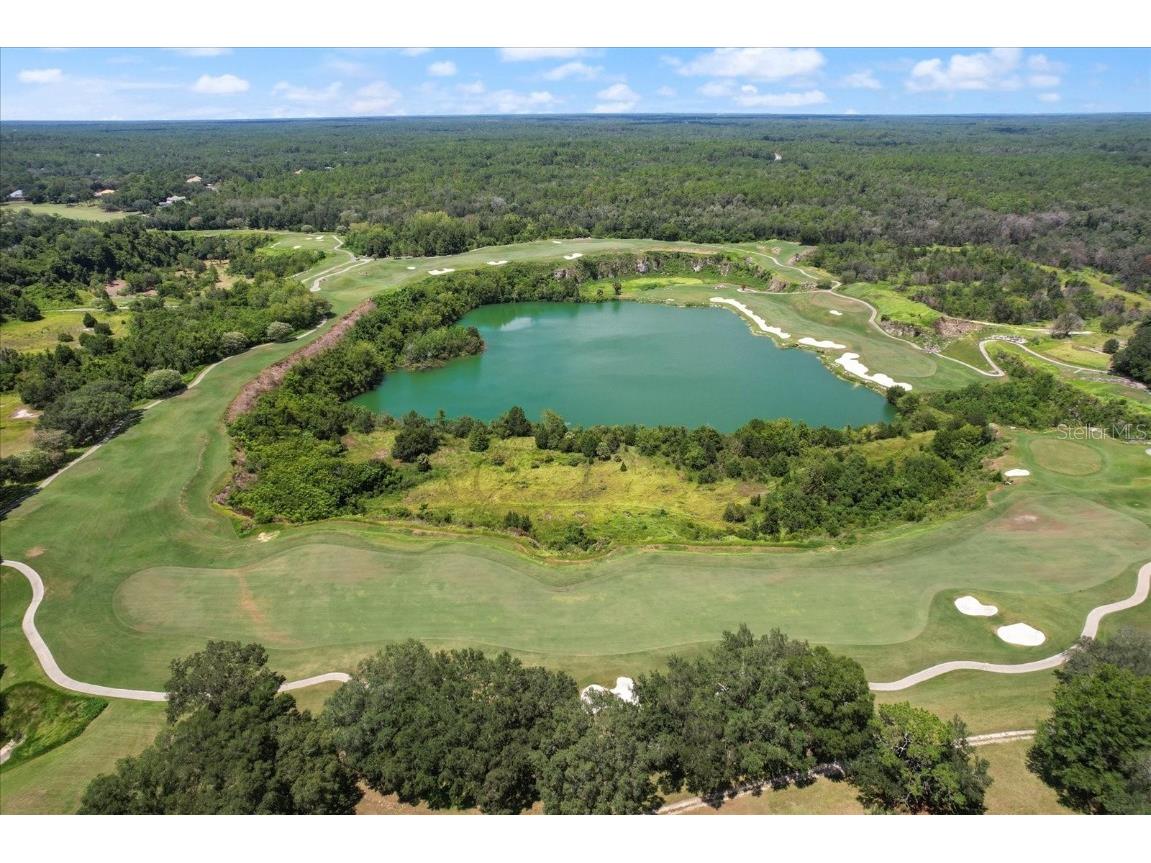 3117 N Barton Creek Circle Lecanto FL 34461 OM705546 image17