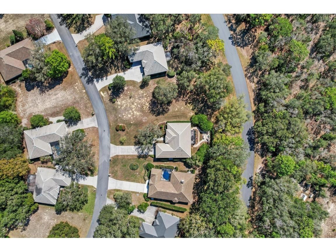 3117 N Barton Creek Circle Lecanto FL 34461 OM705546 image33