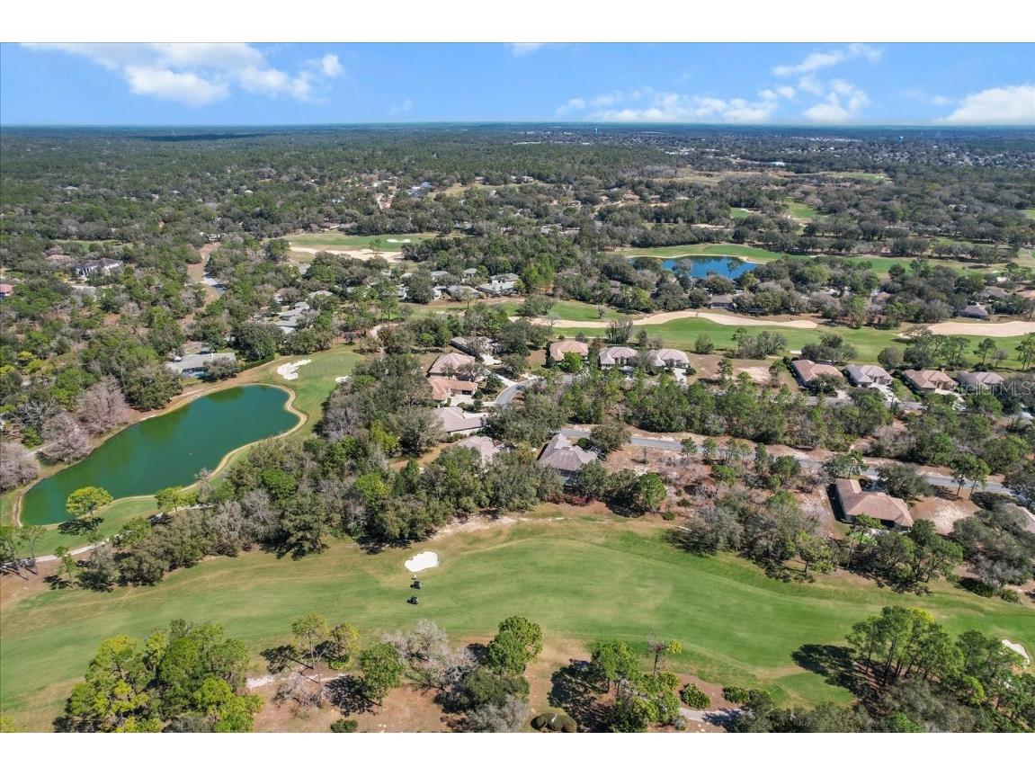 3117 N Barton Creek Circle Lecanto FL 34461 OM705546 image35