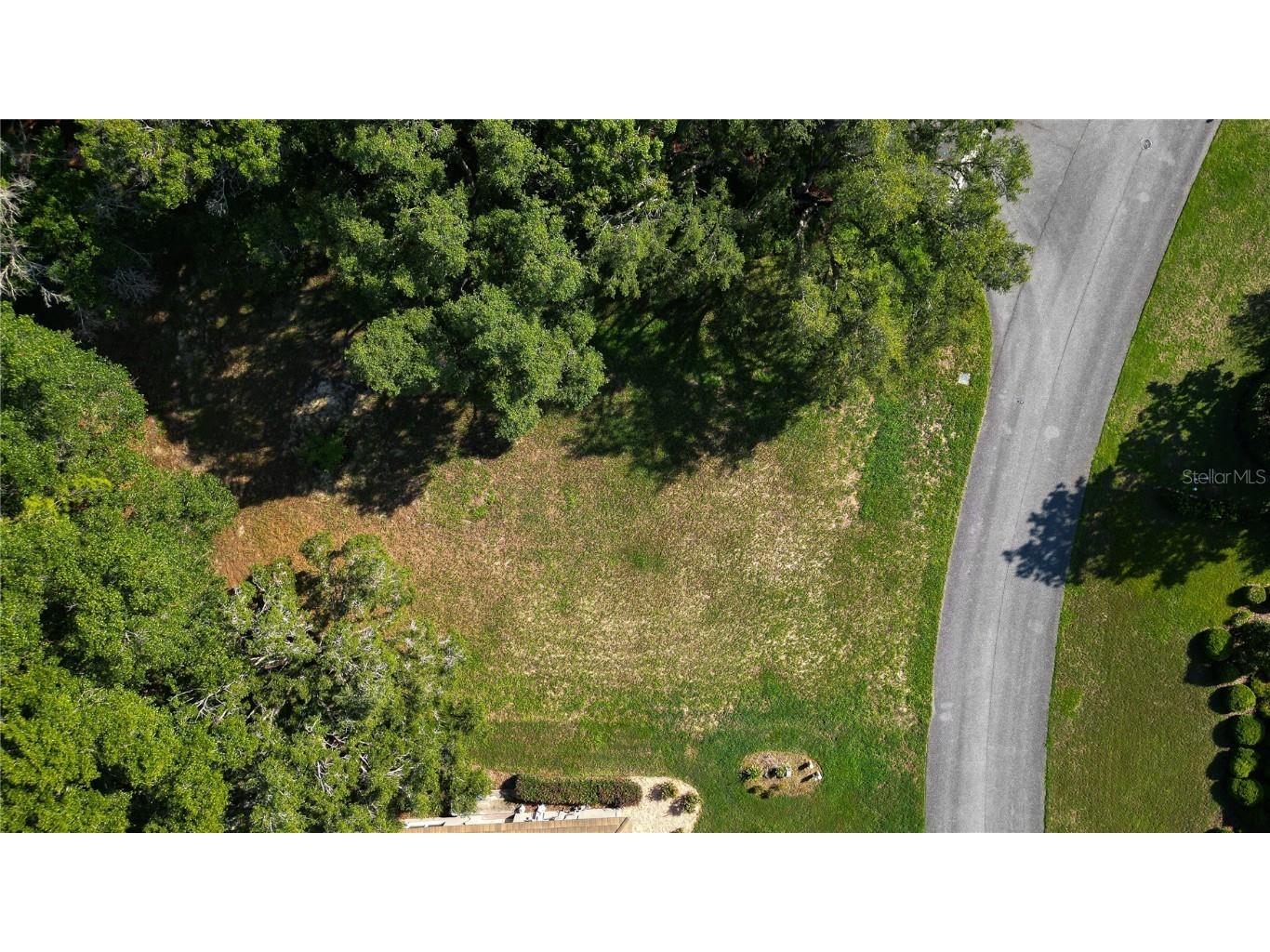 3117 N Barton Creek Circle Lecanto FL 34461 OM705546 image5