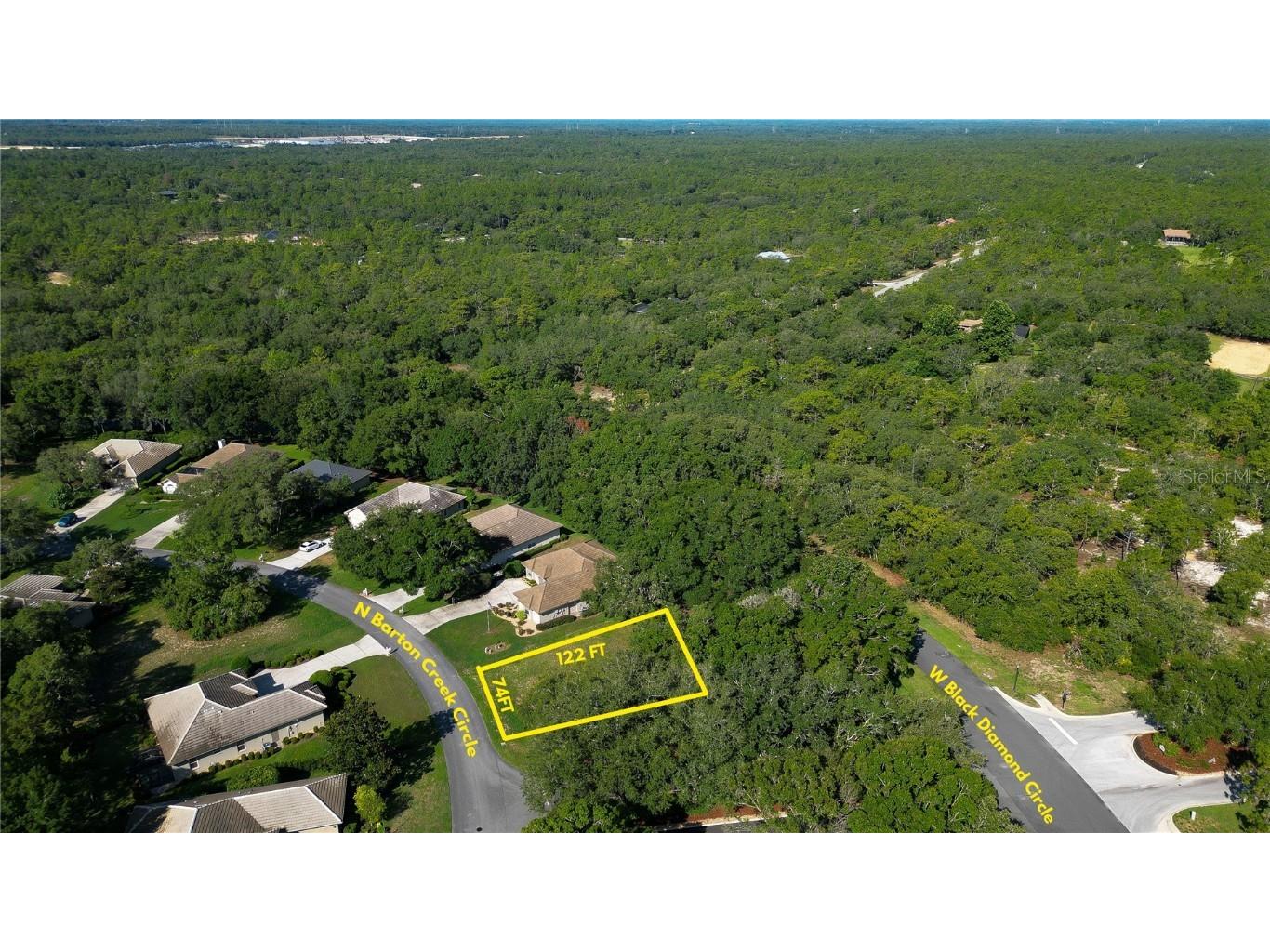 3117 N Barton Creek Circle Lecanto FL 34461 OM705546 image6