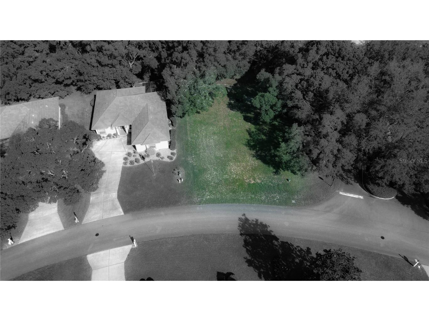 3117 N Barton Creek Circle Lecanto FL 34461 OM705546 image7