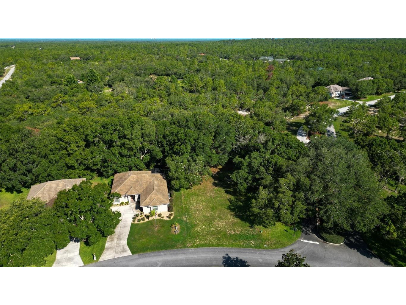 3117 N Barton Creek Circle Lecanto FL 34461 OM705546 image9