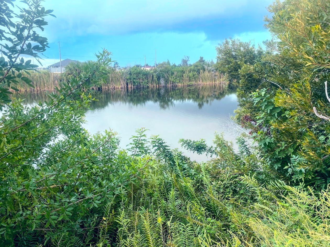 3117 Nw 9th St Cape Coral FL 33993 O6342266 image1