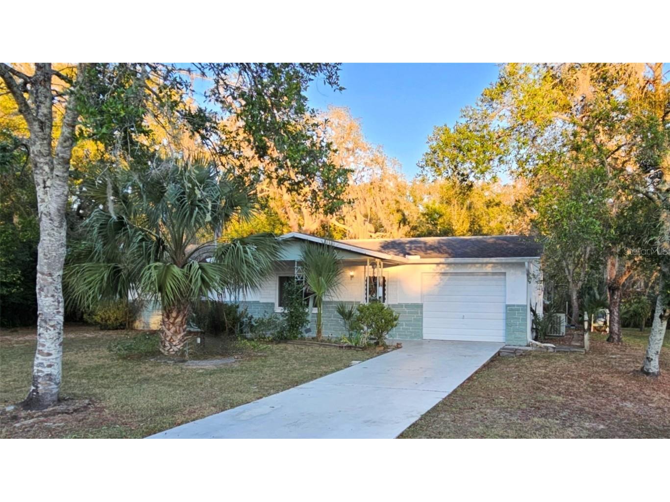 3117 S Buckley Point Inverness FL 34450 - TSALA APOPKA CHAIN OF LAKES TB8325238 image1