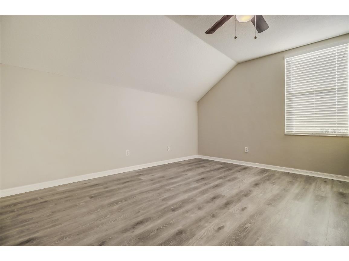 3117 Summer Cruise Drive Valrico FL 33594 TB8443487 image46