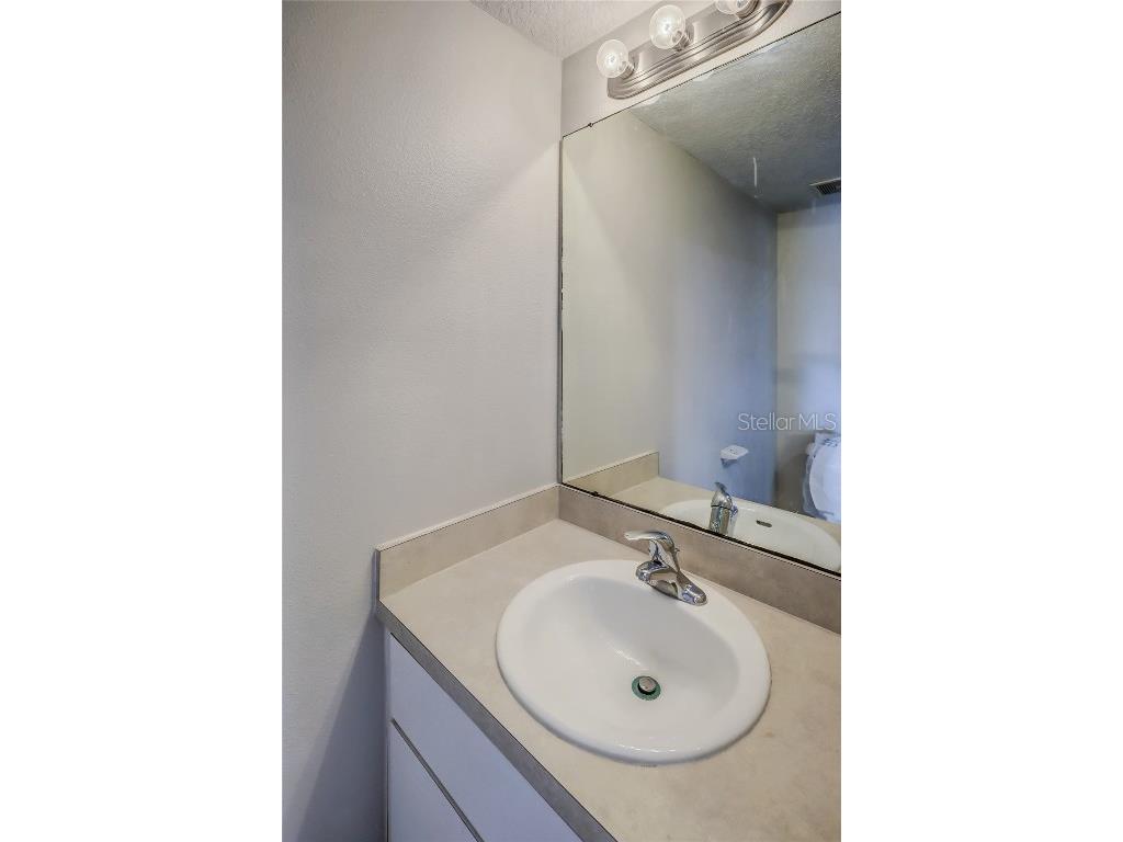 3117 Summer Cruise Drive Valrico FL 33594 TB8443487 image58