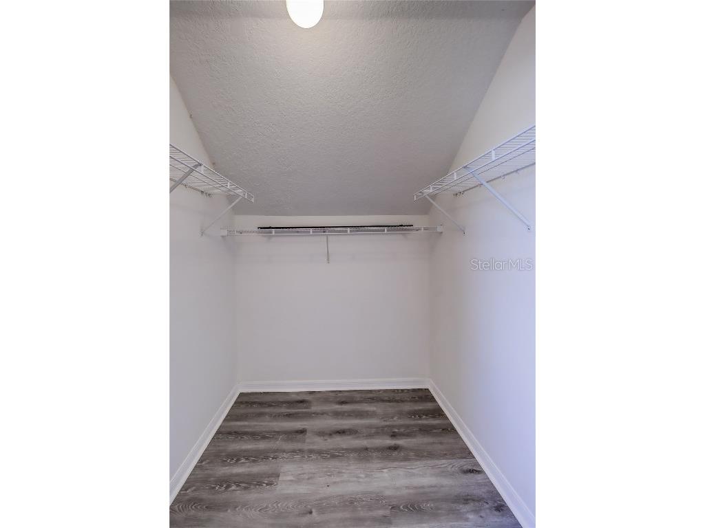 3117 Summer Cruise Drive Valrico FL 33594 TB8443487 image75