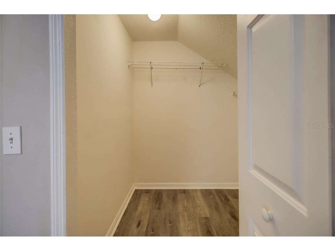 3117 Summer Cruise Drive Valrico FL 33594 TB8443487 image77