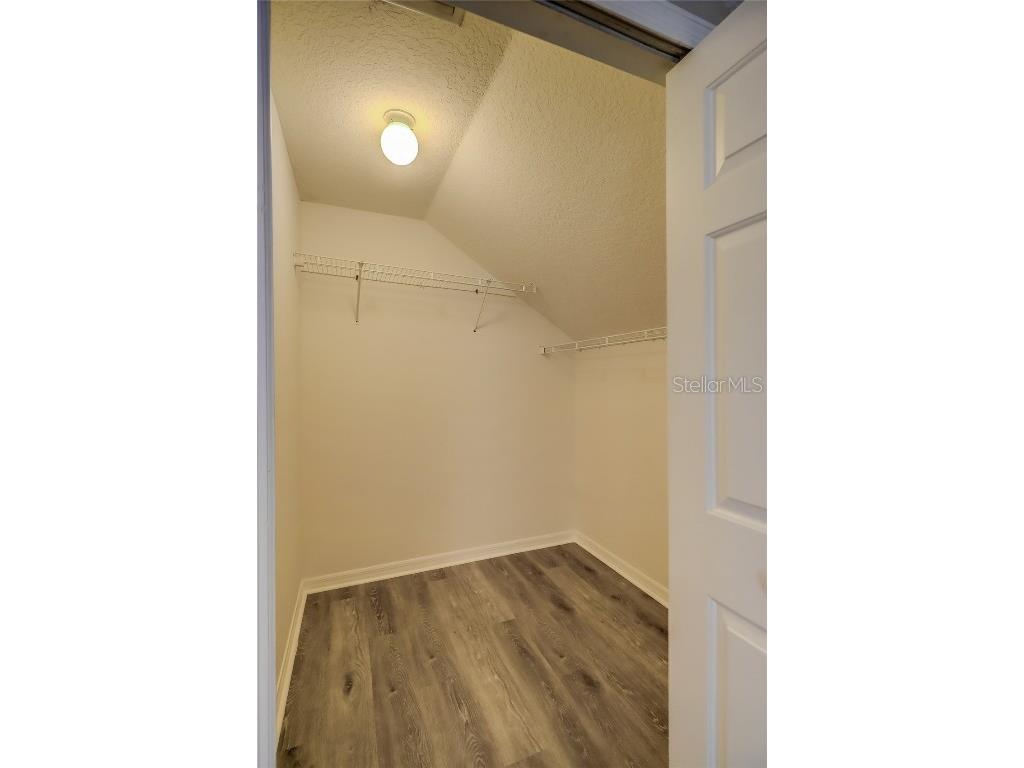 3117 Summer Cruise Drive Valrico FL 33594 TB8443487 image78