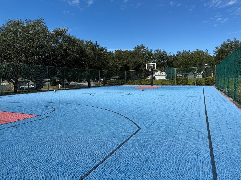 3117 Summer Cruise Drive Valrico FL 33594 TB8443487 image81