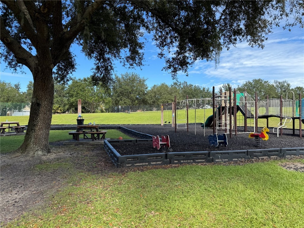 3117 Summer Cruise Drive Valrico FL 33594 TB8443487 image83