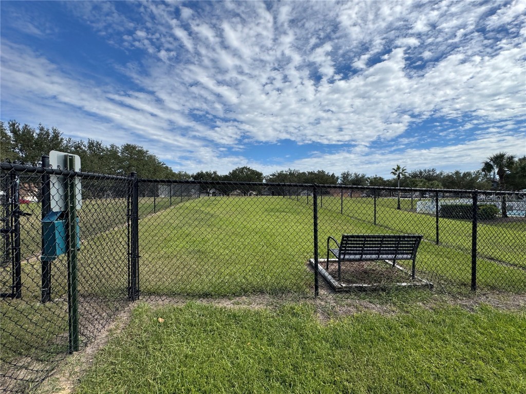 3117 Summer Cruise Drive Valrico FL 33594 TB8443487 image86