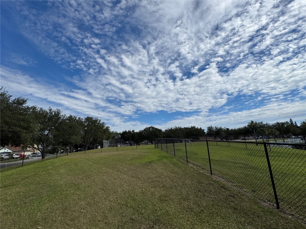 3117 Summer Cruise Drive Valrico FL 33594 TB8443487 image87