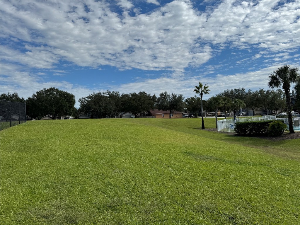 3117 Summer Cruise Drive Valrico FL 33594 TB8443487 image90