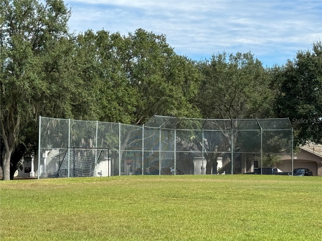 3117 Summer Cruise Drive Valrico FL 33594 TB8443487 image92