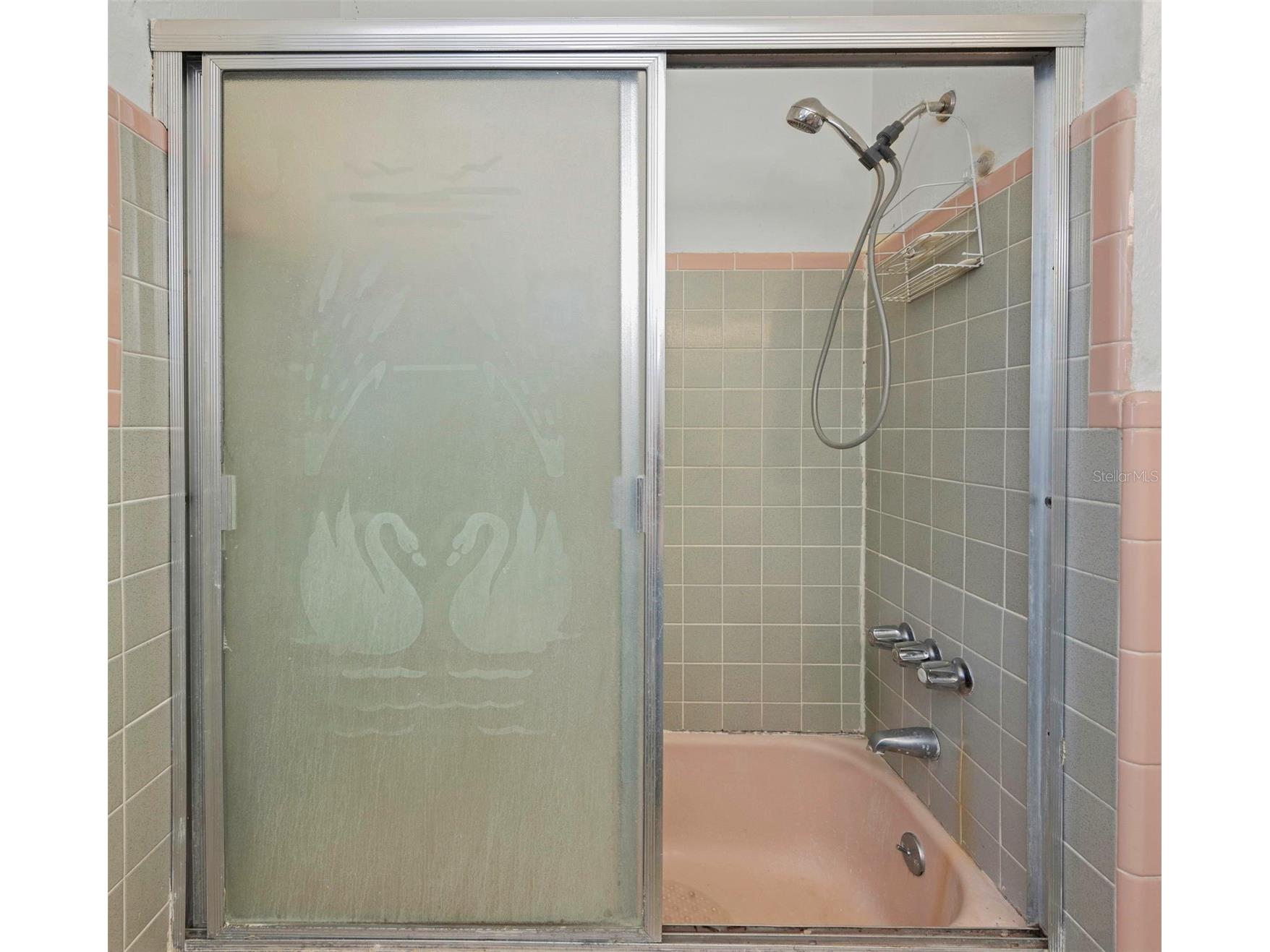 3117 W Leroy Street Tampa FL 33607 TB8479923 image26
