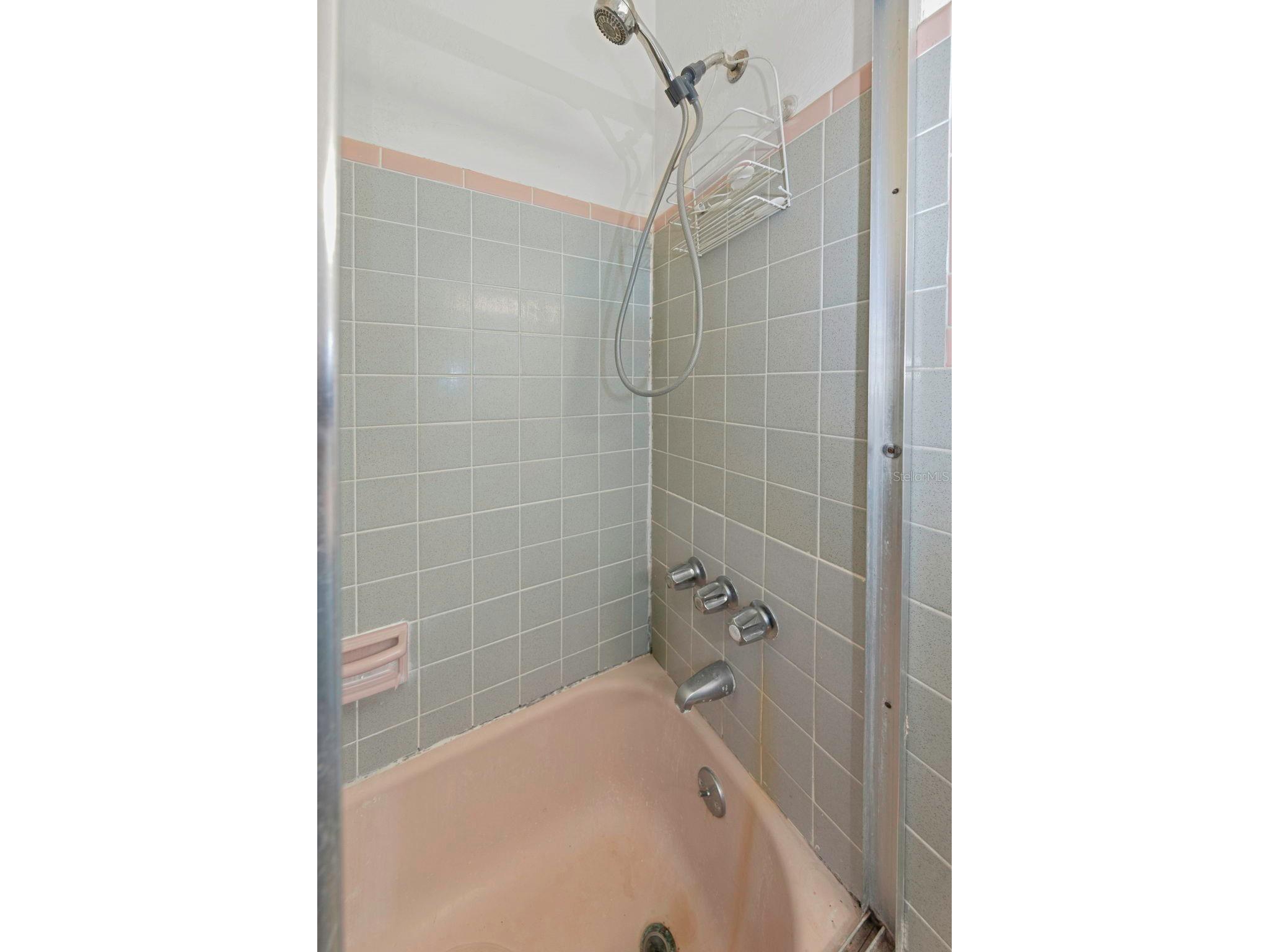 3117 W Leroy Street Tampa FL 33607 TB8479923 image27