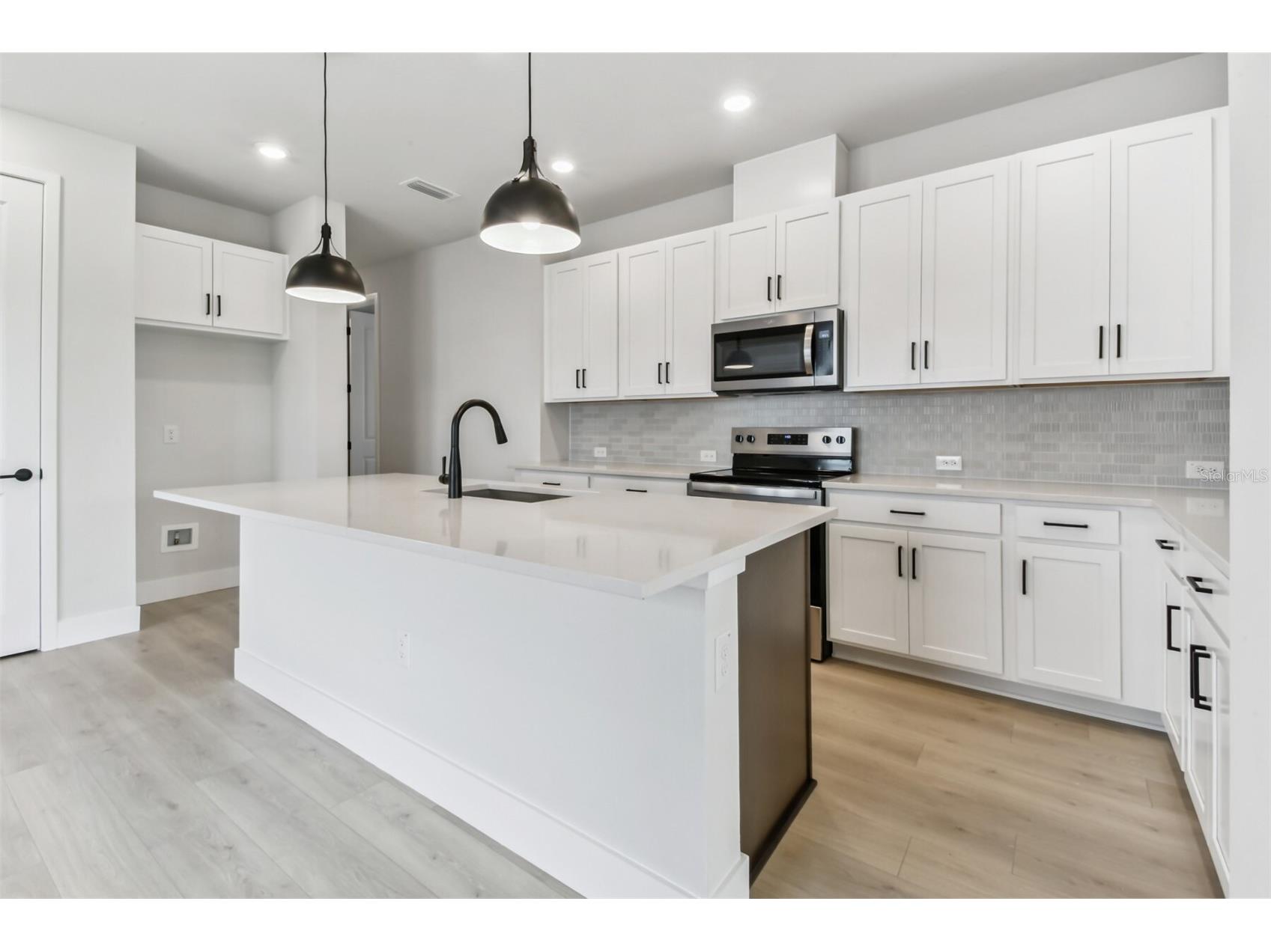 31172 Pendleton Landing Circle Wesley Chapel FL 33545 TB8401220 image1